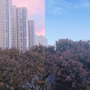 形容 - LAM封面