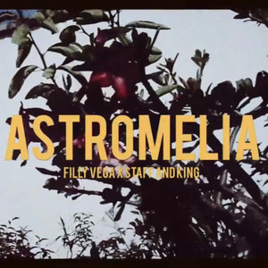 Astromelia