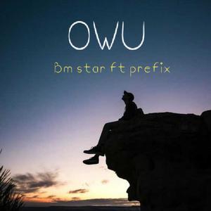 Owu (feat. Prefix)