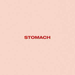 Stomach