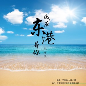 我在东港等你 (DJ默涵版)