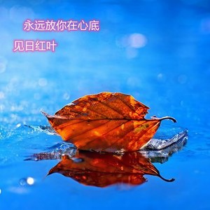 永远放你在心底