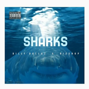 Sharks (Explicit)