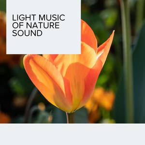 Light Music of Nature Sound