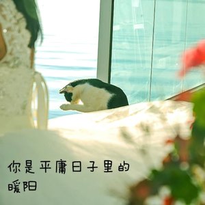 你是平庸日子里的暖阳