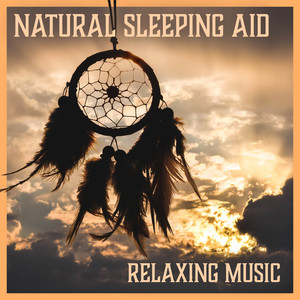 Natural Sleeping Aid – Relaxing Music: Shooting Sound of Nature for Deep Sleep, Gentle Lullaby & Calming Moments