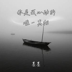 你是我心动的唯一真相