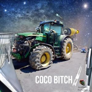 Coco ***** (Explicit)