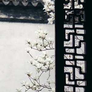 玉兰枝头听江南 (其他)