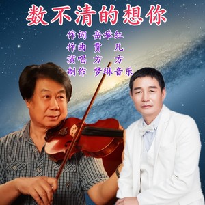 数不清的想你 (伴奏)