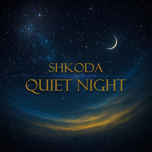 Quiet Night