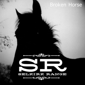 Broken Horse