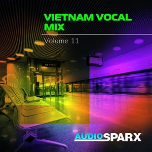 Vietnam Vocal Mix Volume 11