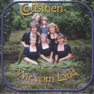 Wenn ein Stern vom Himmel fällt