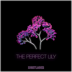 The Perfect Lily