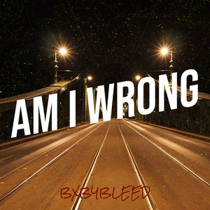 Am I Wrong (Explicit)