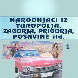 Narodnjaci iz Turopolja, Zagorja, Prigorja, Posavine itd