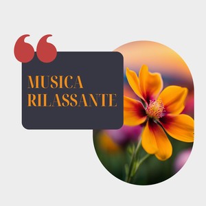 Notte stellata sotto il cielo limpido