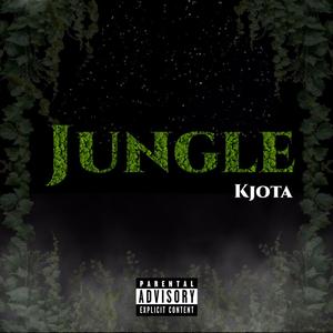 Jungle (feat. Drykoboy) [Explicit]