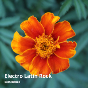 Electro Latin Rock