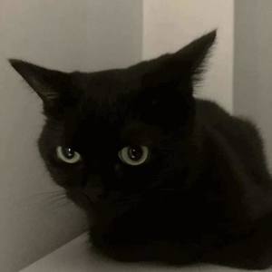 YOUNGCOLD-NO Rainbow after rain (Nanf remix)