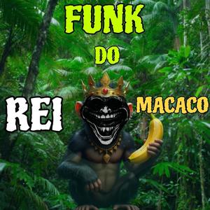 FUNK DO REI MACACO