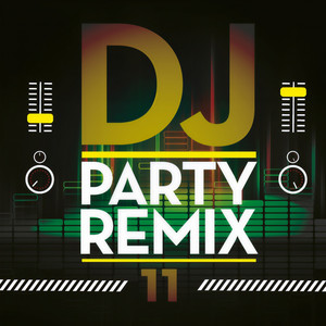 DJ Party Remix, Vol. 11