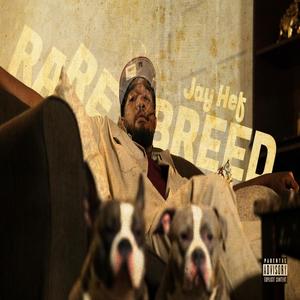 Rare Breed (Explicit)