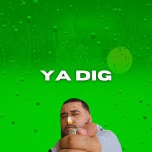 YA DIG (feat. TreyvonMadeDat)