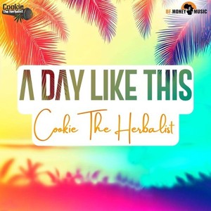 A Day Like This (Radio Edit)