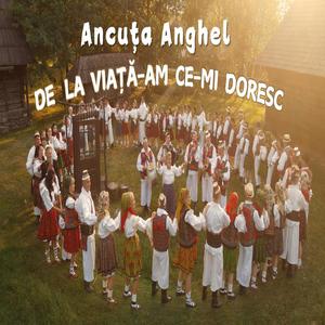 De la viata-am ce-mi doresc