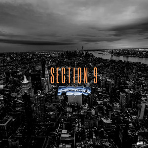 Section 9