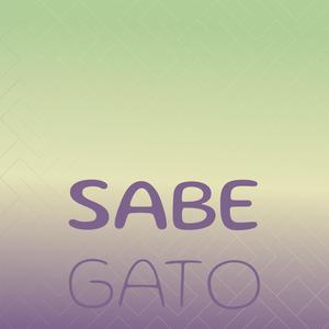 Sabe Gato