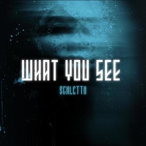 What You See