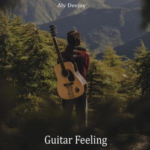 Guitar Feeling