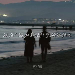 没有人能和我记忆里的你相比