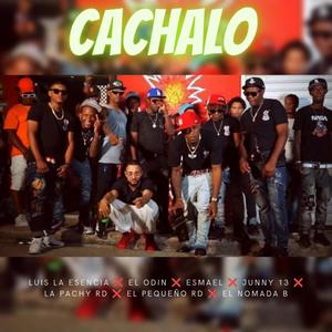 Cachalo (feat. LUIS LA ESENCIA) [Radio Edit]