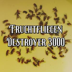 Fruchtfliegen Destroyer 3000 (Explicit)