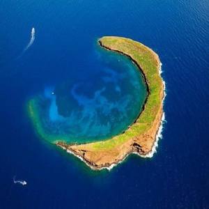 荒岛