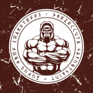 Дикий Фонк (hardtekk instrumental)