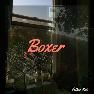 Boxer