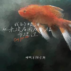 我的眼泪从来没有因为幸福而流过