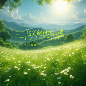 阳光爬过小山坡