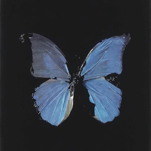 BLUEBUTTERFLY