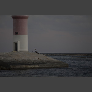 姚晨作品：共此时 Synchronicity