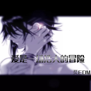 爱是一场浩大的冒险