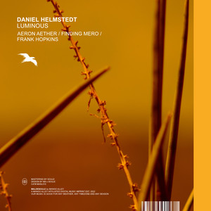 Colliding (Aeron Aether Remix)