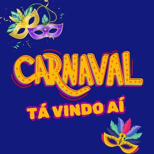 CARNAVAL TA VINDO AÍ NO PIQUE TIK TOK (feat. MC Reizin) [Explicit]