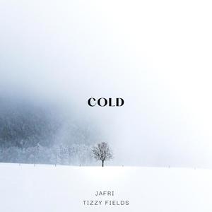 Cold (feat. Tizzy Fields) [Explicit]