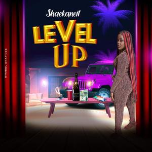 Level Up (feat. Shaekaneil)